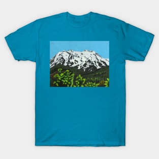 Mount Ruapehu, New Zealand T-Shirt